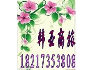 印尼一年多次签证办理上海办理印尼多次签证资料