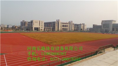 塑胶足球场草坪