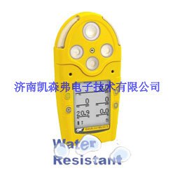 船级社证明复合气体检测仪加拿大BW原装进口