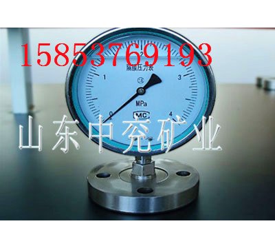压力表_防腐膜片式压力表|参数|说明