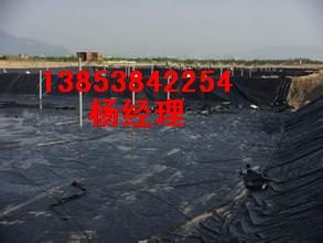 杭州鱼塘养殖防渗膜%湖州景观湖防渗膜厂家