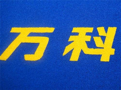 广东一枝春公司门口地毯一张公司门口地毯