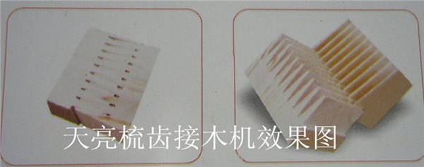 接木机效果图-天亮机械