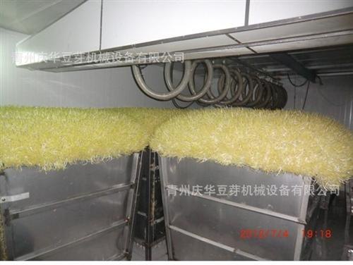 青州庆华豆芽机,绿色无公害豆芽机,西安豆芽机