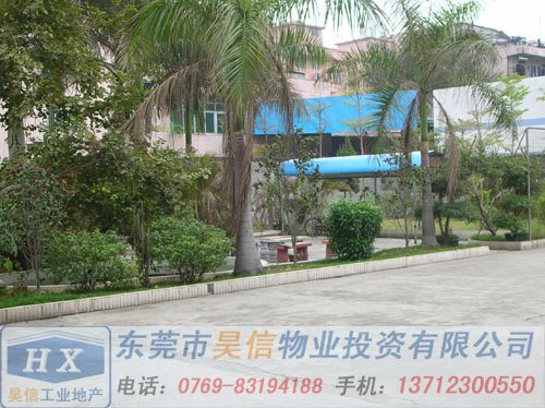 东坑厂房出售 昊信物业