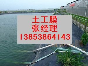 土工膜的特点
