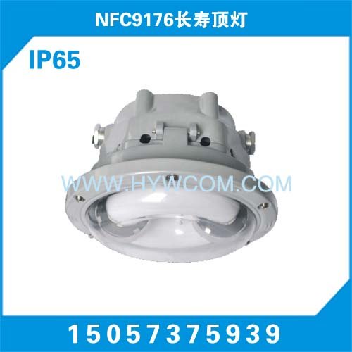 浙江海洋王NFC9176,NFC9176-W40W 厂家