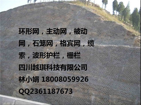 景区主动网 悬崖主动网