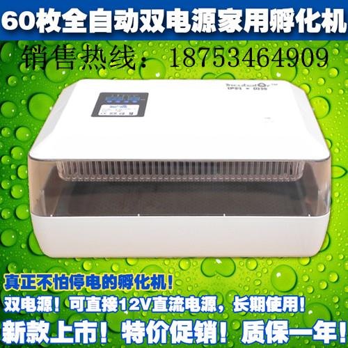 家用全自动孵化器泰山孵化设备信阳全家用全自动孵化器免运费