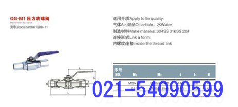 压力表球阀QG.M1