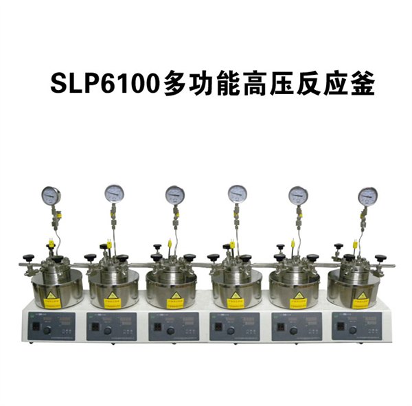 上海供应SLP6100多功能高压反应釜