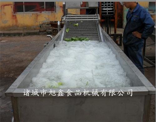 诸城旭鑫机械水果气泡清洗机多少钱水果气泡清洗机