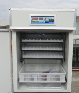 小型孵化机价格/价格最新报表