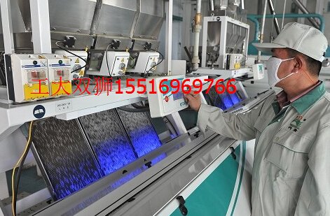 河南 郑州大米深加工机械设备网上最权威的生产厂家是哪家【工大双狮】