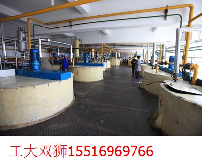 山东青岛大米深加工机械设备2014销售价格最低的厂家是哪家百度【双狮】