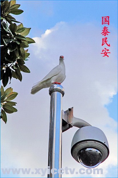 专业监控维保哪家好|上海监控维护保护专家|专业监控维保价格