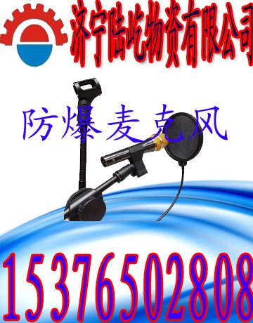 防爆话筒喊话器
