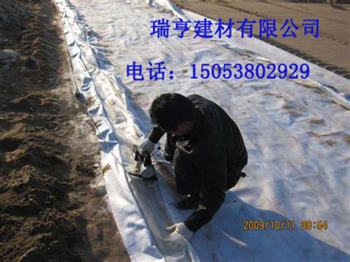 瑞亨建材,复合土工膜哪家卖的好,复合土工膜