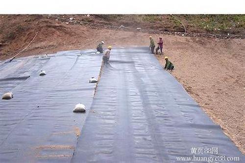 土工膜土工膜的价格图瑞亨建材