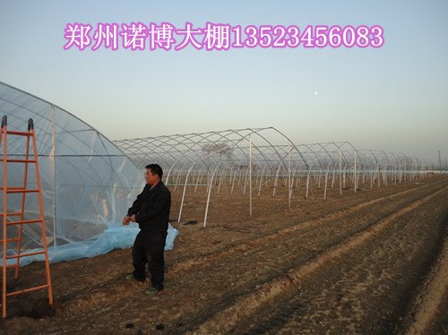 简易大棚温室工程造价大棚专业建设哪里有