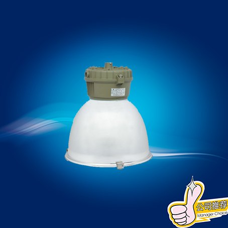 FAD-T防水防尘工矿灯（A型）吸顶式工矿灯 适配光源金卤灯