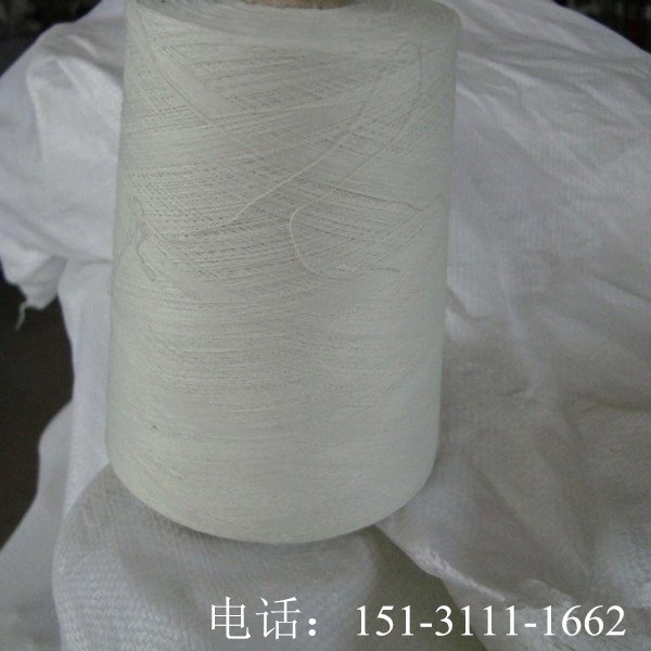 普络机织纯涤纱40支最新价格