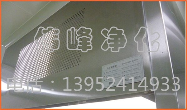 粉末称量专用柜 粉末样品称量柜生产厂家 