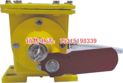 BZL-220B防爆纵向撕裂开关