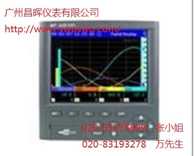 SWP-ASR108-1-0多语言型无纸记录仪