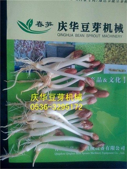 山东省青州庆华豆芽机豆苗机,富硒花生芽机价格,花生芽机