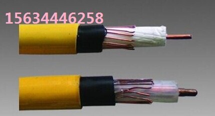 批发MSLYFVZ-75-9阻燃漏泄同轴电缆 矿用通信电缆 