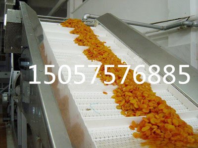 厂家直销白色食品PVC输送带 食品药品输送带