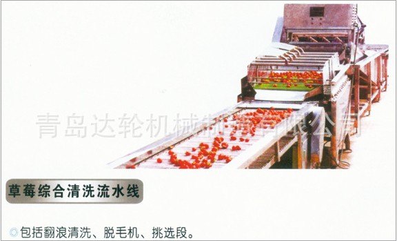 草莓综合清洗流水线-达轮机械