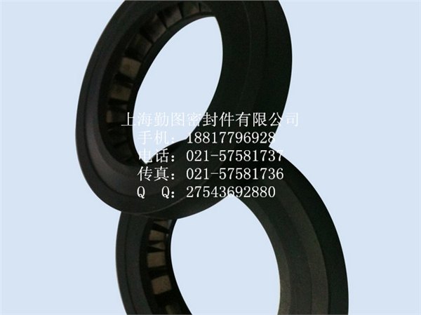 上海奉贤断面泛塞封 断面石墨泛塞封 奉贤密封件厂家