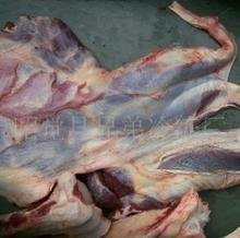 冷冻驴键肉价格.冷冻驴键肉批发