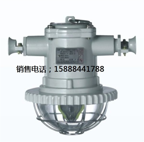 供应DGS18/127L(B)矿用隔爆型LED巷道灯  18W巷道灯
