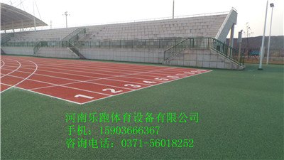 供应开封优质塑胶运动弹性地面10mm，SJ-13