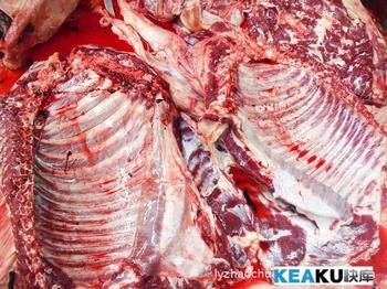 冷冻驴排骨批发价格行情