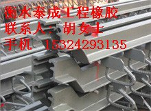 贵阳Z型公路桥梁伸缩缝|伸缩缝施工方案