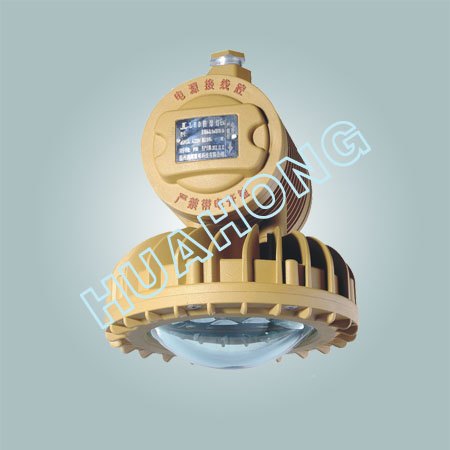30W LED防爆灯 BLD220-LED工厂防爆灯