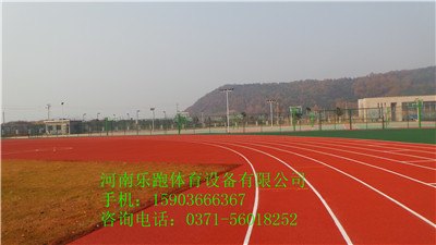 供应信阳优质塑胶运动足球场10mm，SJ-13