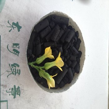 东明厂家活性炭 柱状活性炭 椰壳活性炭 价格实惠
