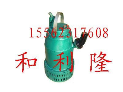 山东济宁和利隆排沙排污电泵使用说明