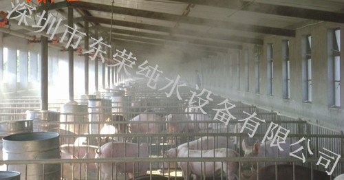 全自动喷雾消毒系统|深圳喷雾消毒|喷雾消毒节能环保-东荣集团