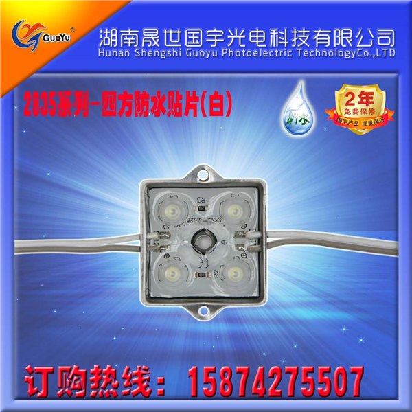 长沙国宇光电LED模组，LED四方贴片模组，LED穿孔灯，LED外露灯