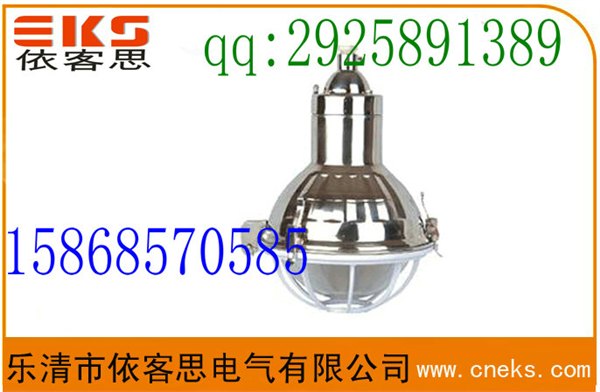 吊杆式防水防尘防腐不锈钢灯FGL-G-N100/110高压钠灯