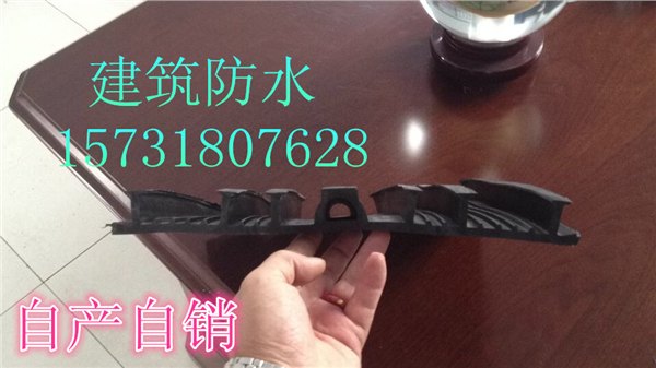 背贴式止水带图片 背贴式止水带细节图 
