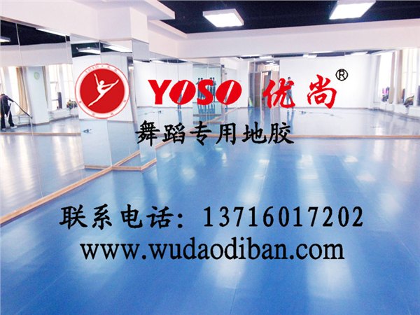 专业舞蹈地板 塑胶舞蹈地板 舞蹈地板厂家