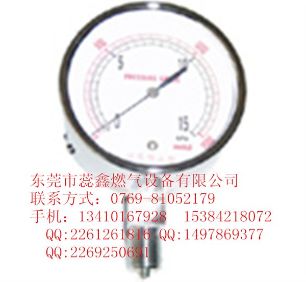 购皮膜表/煤气表\家用煤气表\压力表请选蕊鑫 