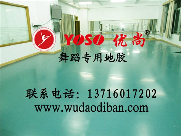 舞动地胶系列，舞彩地胶系列，舞炫地胶系列